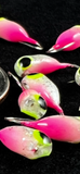 Pink/Pearl White Fish Ticks - 3mm
