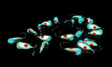 Black with Glow Eyes Fish Ticks - 3mm